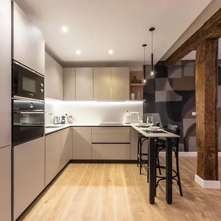 شقة Basque Museum بلباو